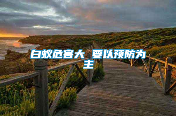白蚁危害大 要以预防为主