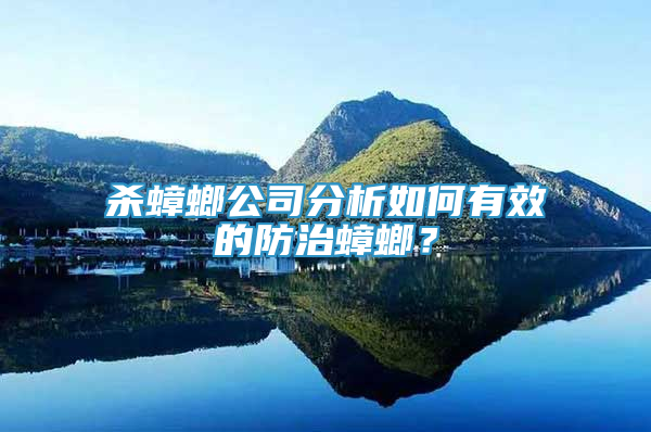 杀蟑螂公司分析如何有效的防治蟑螂？
