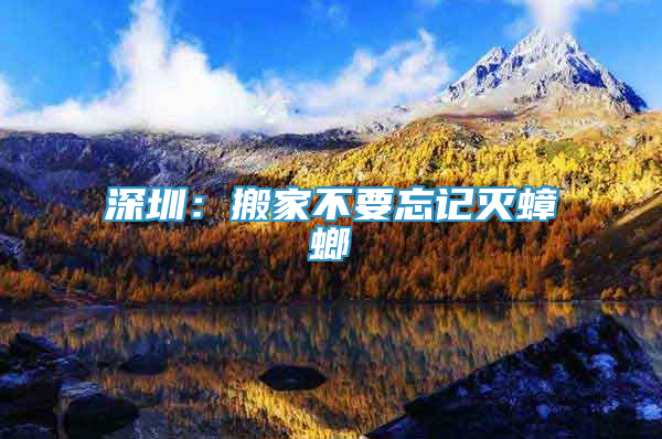 深圳：搬家不要忘记灭蟑螂