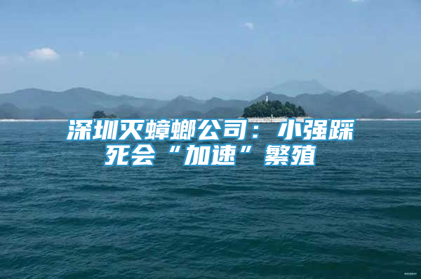 深圳灭蟑螂公司：小强踩死会“加速”繁殖