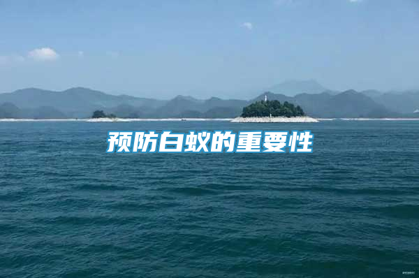 预防白蚁的重要性