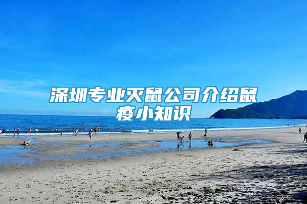 深圳专业灭鼠公司介绍鼠疫小知识