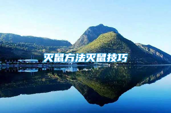 灭鼠方法灭鼠技巧