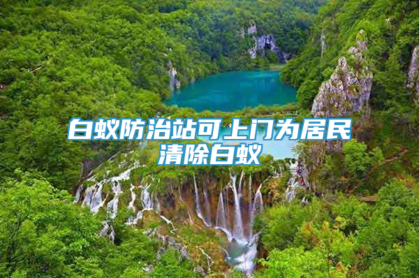 白蚁防治站可上门为居民清除白蚁