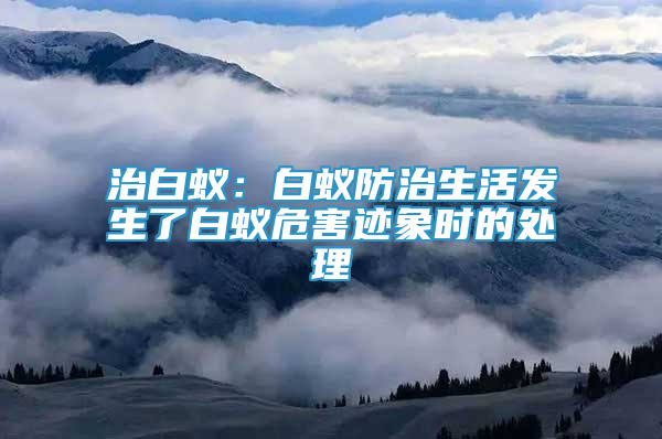 治白蚁：白蚁防治生活发生了白蚁危害迹象时的处理