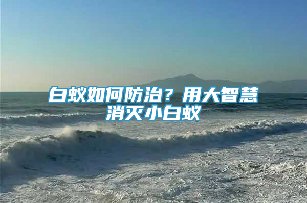 白蚁如何防治？用大智慧消灭小白蚁