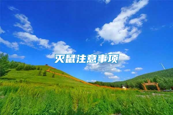 灭鼠注意事项