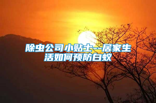 除虫公司小贴士--居家生活如何预防白蚁