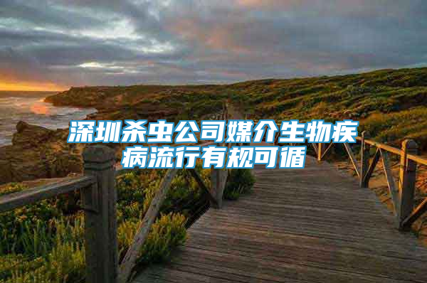深圳杀虫公司媒介生物疾病流行有规可循