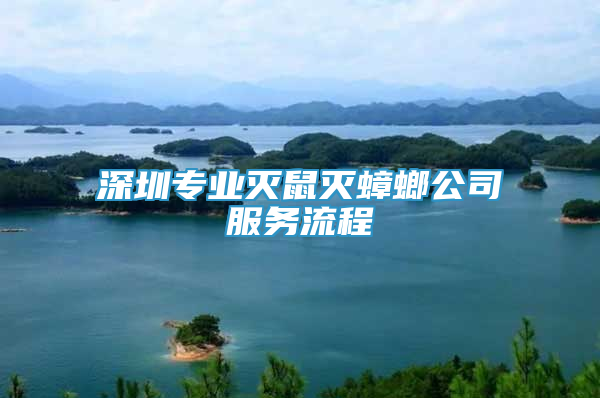 深圳专业灭鼠灭蟑螂公司服务流程