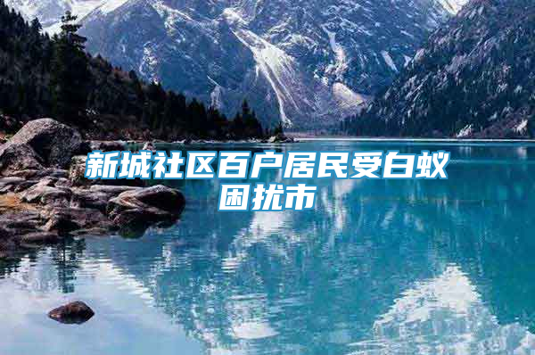 新城社区百户居民受白蚁困扰市