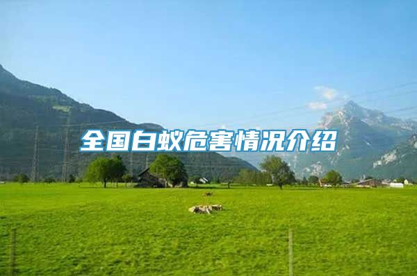全国白蚁危害情况介绍