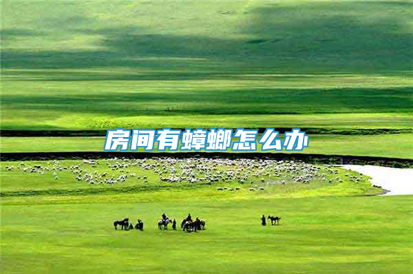 房间有蟑螂怎么办