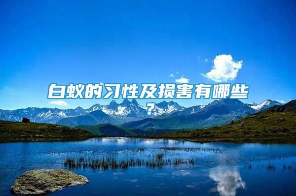 白蚁的习性及损害有哪些？