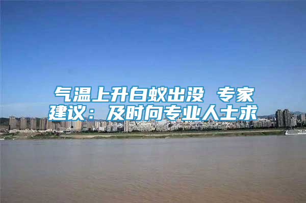 气温上升白蚁出没 专家建议：及时向专业人士求