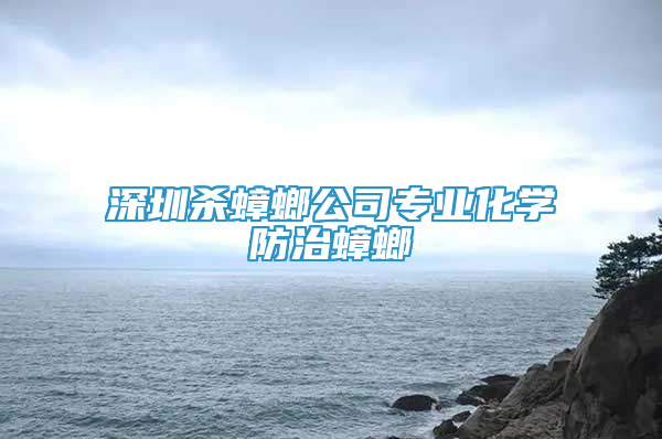 深圳杀蟑螂公司专业化学防治蟑螂
