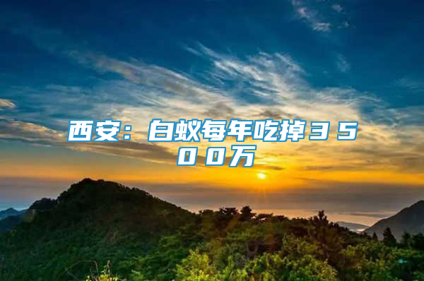 西安：白蚁每年吃掉３５００万