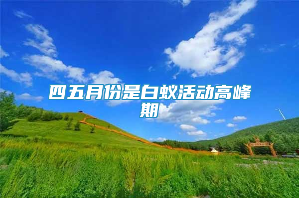 四五月份是白蚁活动高峰期