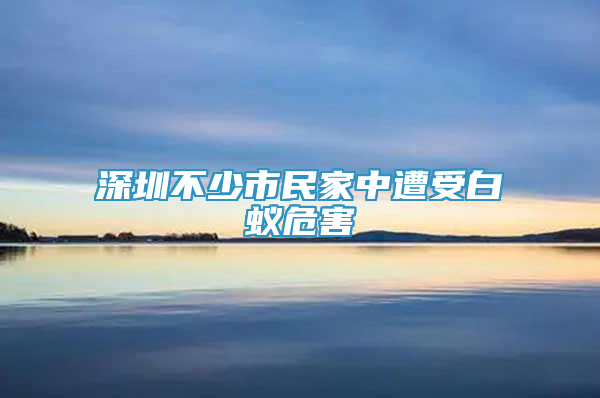 深圳不少市民家中遭受白蚁危害
