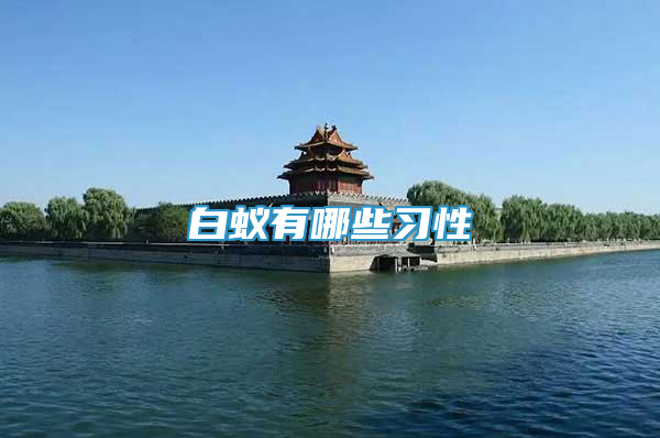 白蚁有哪些习性