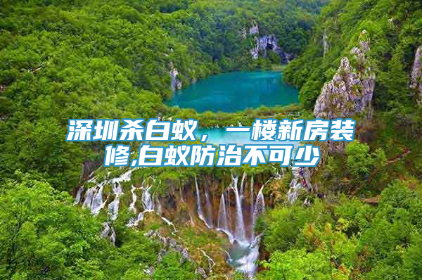 深圳杀白蚁，一楼新房装修,白蚁防治不可少