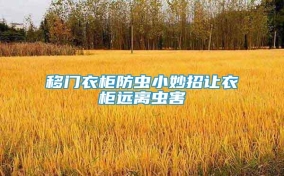 移门衣柜防虫小妙招让衣柜远离虫害