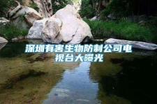 深圳有害生物防制公司电视台大曝光