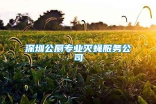 深圳公厕专业灭蝇服务公司