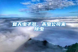 夏天虫子多，杀虫公司来除虫