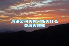 消杀公司为你分析为什么要消灭蛾蠓