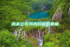 消杀公司为我们做的贡献
