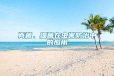 真菌、细菌在虫害防治中的应用